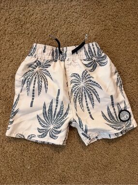 Volcom Boardshorts 12M